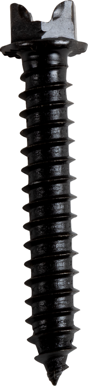 Kold Kutter AMA Race Legal Traction Screws