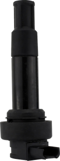 Rm Stator Ignition Coil