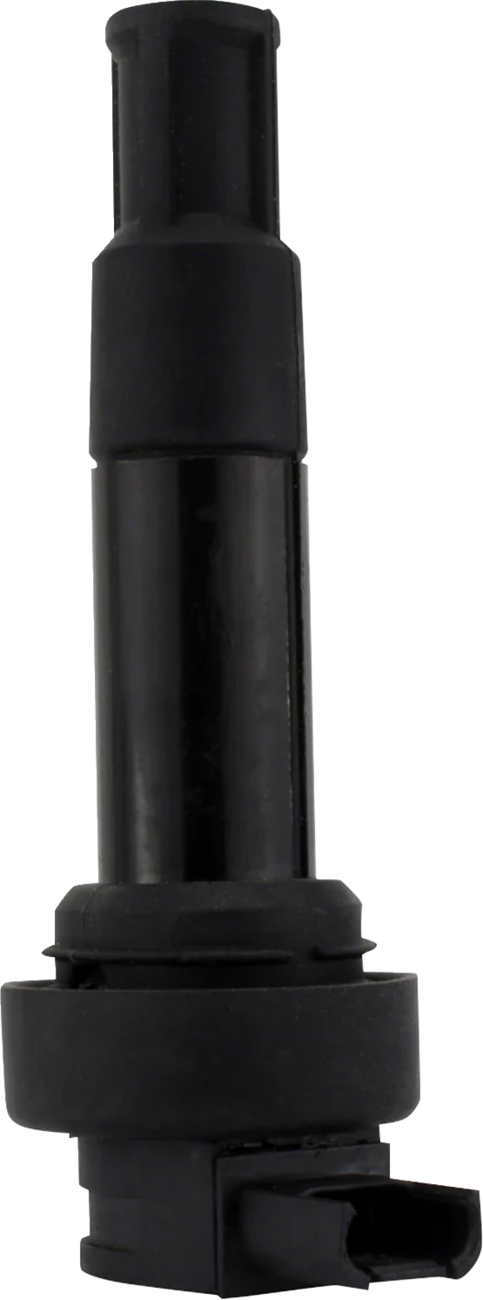Rm Stator Ignition Coil
