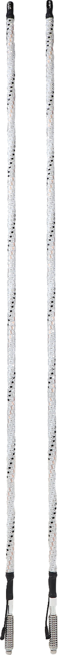 Whipitlightrods Bluetooth RGB Light Rod