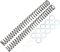 Race Tech Fork Springs — 25.80 lb/in