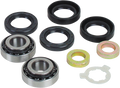 Drag Specialties Swingarm Bearing Kit