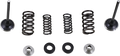 Moose Offroad Exhaust Valve and Spring Kit