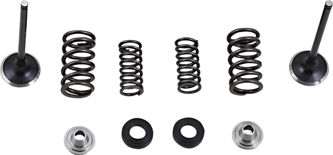 Moose Offroad Exhaust Valve and Spring Kit