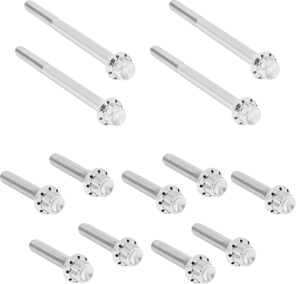 Arlen Ness Outer Primary Cover Titanium 12-Point Bolt Kit