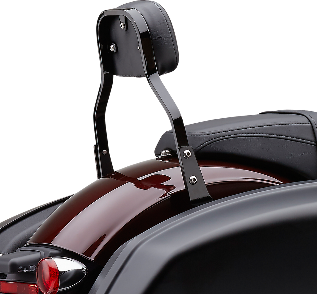 Cobra Detachable Backrest Kit