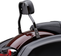 Cobra Detachable Backrest Kit