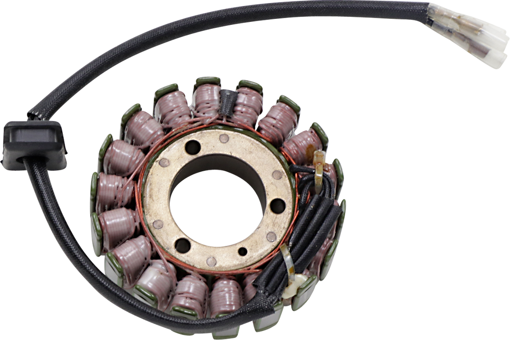 Rick's Motorsport Electric OEM Style Stator