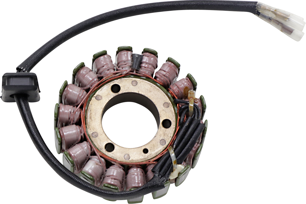 Rick's Motorsport Electric OEM Style Stator