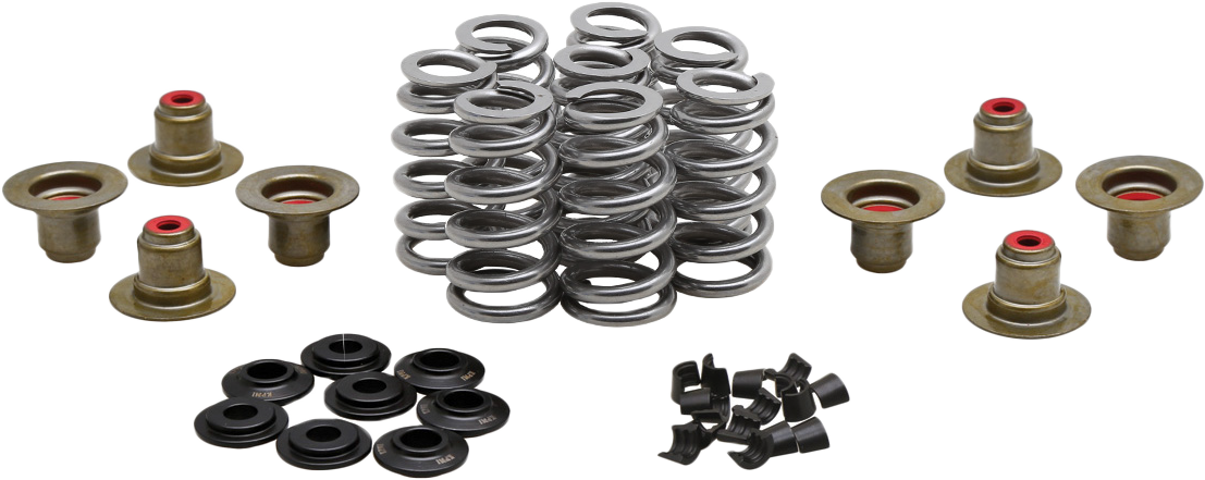 KPMI Beehive Valve Spring Kit .640 Lift M8'17-24 NON VVT 20-24400