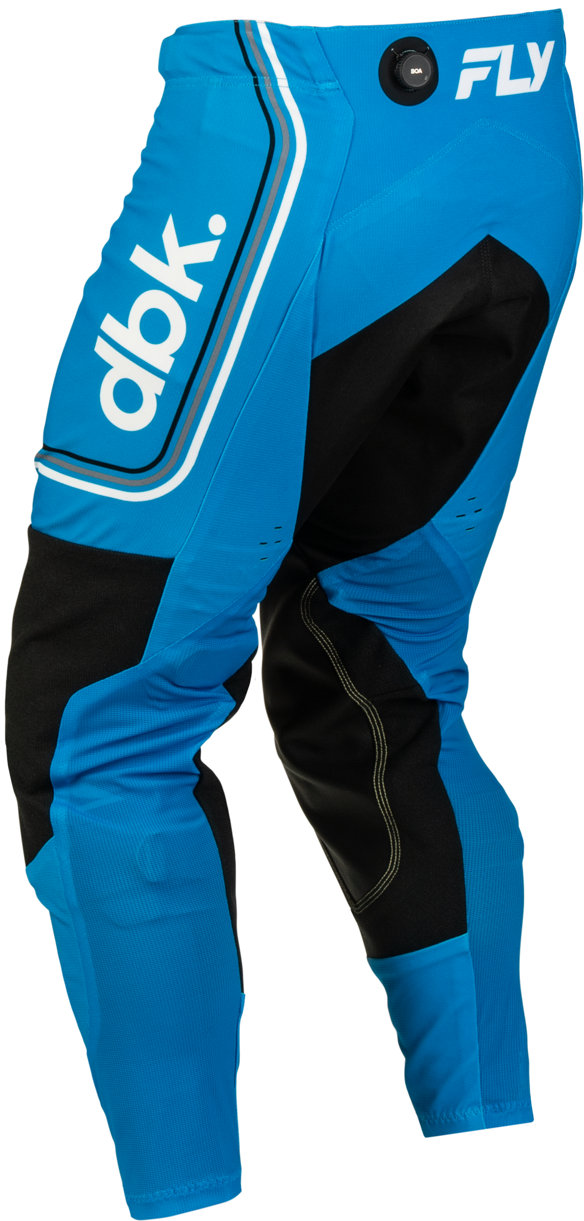 FLY Racing Evolution DST DBK Pants (2027)
