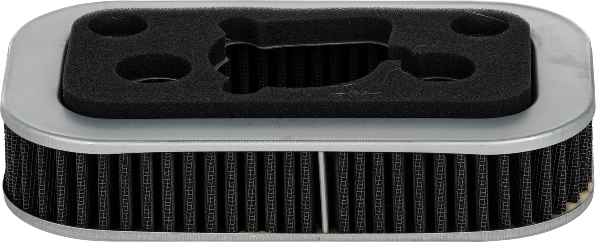 Harddrive Performance Air Filter Repl OEM 29331-96/29036-88B TJ-A-063 for Harley-Davidson