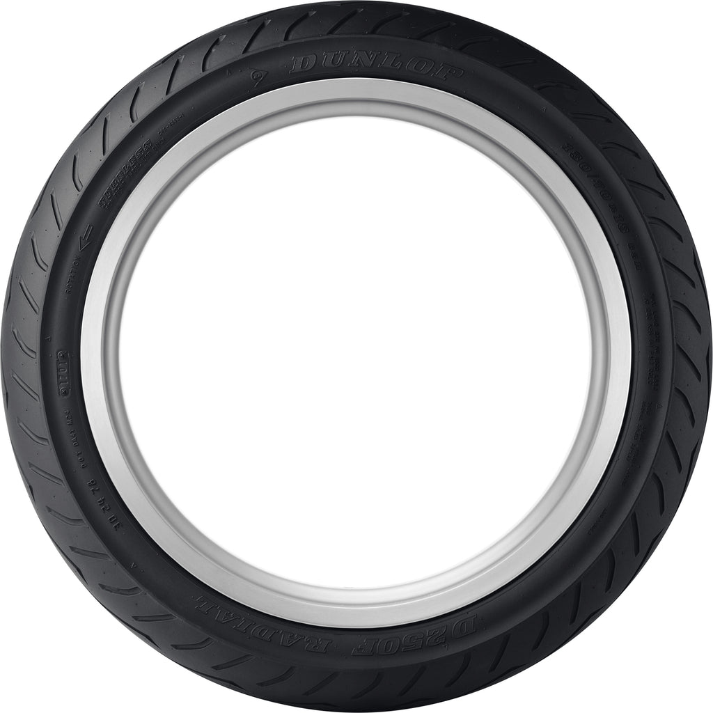 Dunlop D250 Tire 180/60R16 Rear Motorcycle Tire