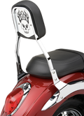 Cobra Backrest Insert Skull Chrome Fits STD 02-5052